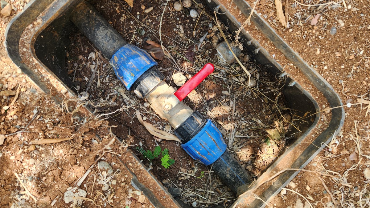 An irrigation valve box with pipes, connectors, and a red handle, partially buried in dirt and surrounded by dry vegetation.
